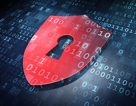 사이버보안 진단의날